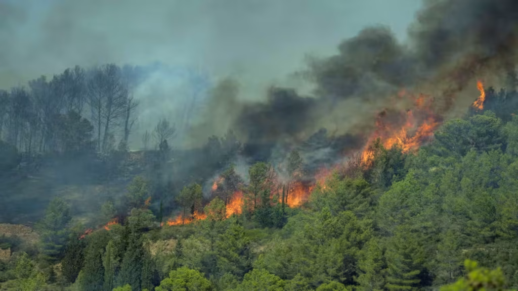 Un feu dévastateur dans l’Aude : 16 000 hectares partis en fumée 1 7855d196-3f8a-43a1-b173-1a6cd1c5