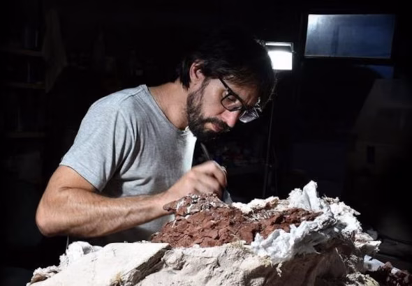 huayracursor-jaguensis-preparation-analyse